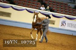 19YN_10725 thumbnail