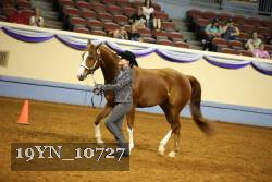 19YN_10727 thumbnail