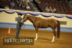 19YN_10731 thumbnail