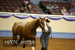 19YN_10732 thumbnail