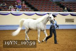 19YN_10759 thumbnail