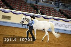 19YN_10761 thumbnail