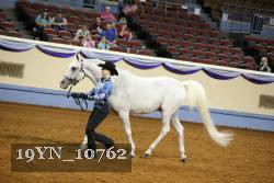 19YN_10762 thumbnail