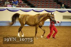 19YN_10775 thumbnail