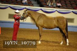 19YN_10779 thumbnail