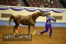 19YN_10785 thumbnail