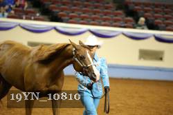 19YN_10810 thumbnail
