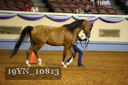 19YN_10813 thumbnail
