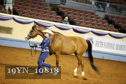 19YN_10818 thumbnail
