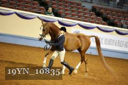 19YN_10835 thumbnail