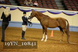 19YN_10841 thumbnail