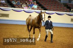 19YN_10844 thumbnail