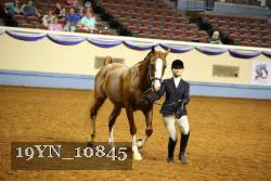 19YN_10845 thumbnail