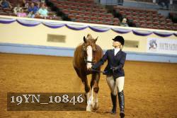 19YN_10846 thumbnail