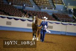 19YN_10851 thumbnail