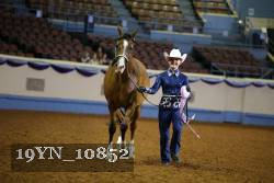 19YN_10852 thumbnail