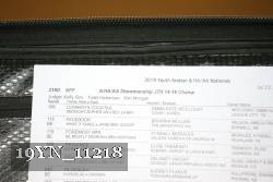 19YN_11218 thumbnail