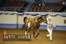 19YN_11222 thumbnail