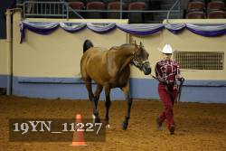 19YN_11227 thumbnail