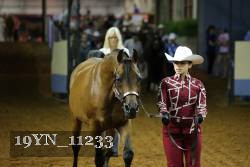 19YN_11233 thumbnail