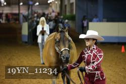19YN_11234 thumbnail