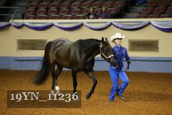 19YN_11236 thumbnail