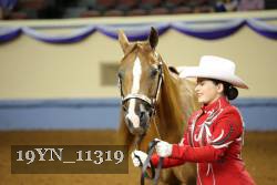 19YN_11319 thumbnail