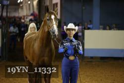19YN_11332 thumbnail