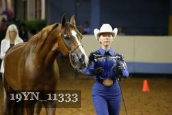 19YN_11333 thumbnail