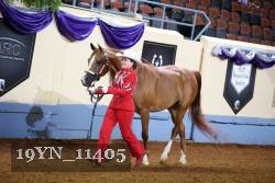 19YN_11405 thumbnail