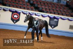 19YN_11412 thumbnail