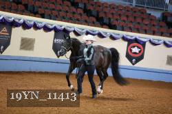 19YN_11413 thumbnail