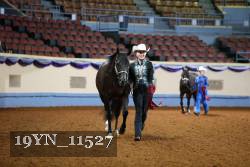 19YN_11527 thumbnail