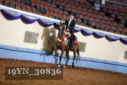 19YN_30836 thumbnail