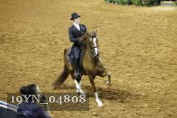 19YN_04808 thumbnail