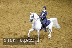 19YN_04812 thumbnail