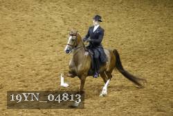 19YN_04813 thumbnail