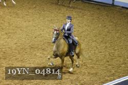 19YN_04814 thumbnail
