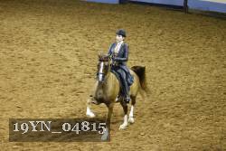 19YN_04815 thumbnail
