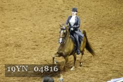 19YN_04816 thumbnail