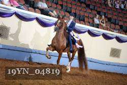 19YN_04819 thumbnail