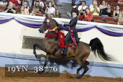 19YN_38776 thumbnail