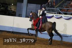 19YN_38779 thumbnail