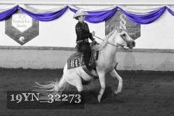 19YN_32273 thumbnail