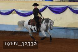 19YN_32332 thumbnail