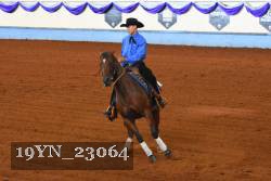 19YN_23064 thumbnail