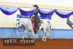 19YN_23216 thumbnail