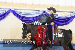 19YN_23229 thumbnail