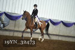 19YN_32473 thumbnail