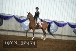 19YN_32474 thumbnail
